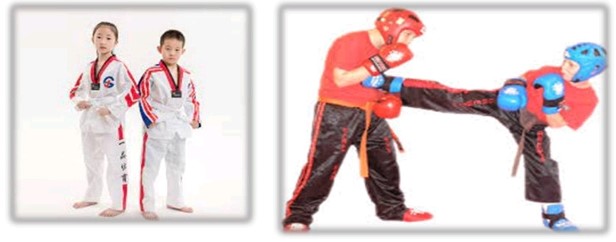 تعلن مدارس روضة مصر الخاصة عن بدأ النشاط الصيفى الرياضى والفنى